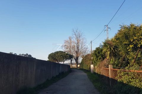 Grond in Lavra, Porto, Lavra - € 370.000 | Ref: ZMPT533331 - foto 12
