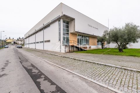 Erhvervsejendom i Sobreira, Porto, Sobreira - € 23.900 | Ref: ZMPT563784 - foto 19