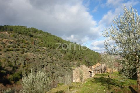 Granja a Sabrosa, Vila Real, Sabrosa - € 69.900 | Ref: ZMPT537847 - foto 5