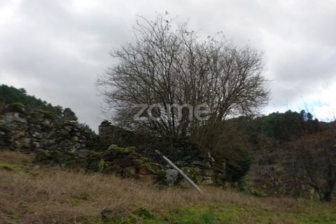 Granja a Sabrosa, Vila Real, Sabrosa - € 69.900 | Ref: ZMPT537847 - foto 12