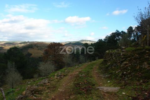 Granja a Sabrosa, Vila Real, Sabrosa - € 69.900 | Ref: ZMPT537847 - foto 19