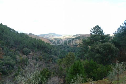 Granja a Sabrosa, Vila Real, Sabrosa - € 69.900 | Ref: ZMPT537847 - foto 20