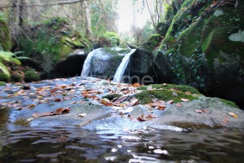Granja a Sabrosa, Vila Real, Sabrosa - € 69.900 | Ref: ZMPT537847 - foto 21
