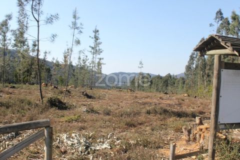 Helårsgrund i Aguiar de Sousa, Porto, Aguiar de Sousa - € 75.000 | Ref: ZMPT532670 - foto 2