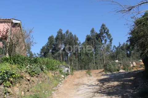 Helårsgrund i Aguiar de Sousa, Porto, Aguiar de Sousa - € 75.000 | Ref: ZMPT532670 - foto 5