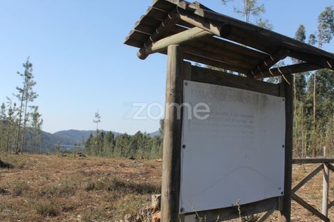 Helårsgrund i Aguiar de Sousa, Porto, Aguiar de Sousa - € 75.000 | Ref: ZMPT532670 - foto 6