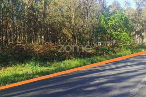 Helårsgrund i Agueda, Aveiro, Agueda - € 62.500 | Ref: ZMPT559454 - foto 2