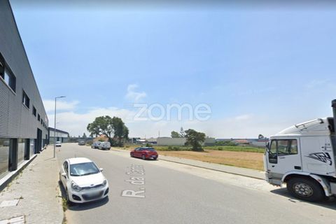 Helårsgrund i Esposende, Braga, Esposende - € 1.200.000 | Ref: ZMPT560617 - foto 8