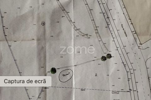 Helårsgrund i Esposende, Braga, Esposende - € 1.200.000 | Ref: ZMPT560617 - foto 12