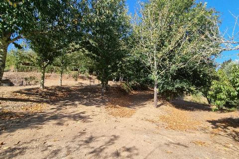 Villa a Cortegaca, Aveiro, Cortegaca - € 229.000 | Ref: es5554865 - foto 18
