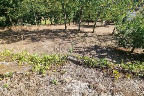 Villa a Cortegaca, Aveiro, Cortegaca - € 229.000 | Ref: es5554865 - foto 34