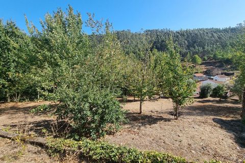 Villa a Cortegaca, Aveiro, Cortegaca - € 229.000 | Ref: es5554865 - foto 35