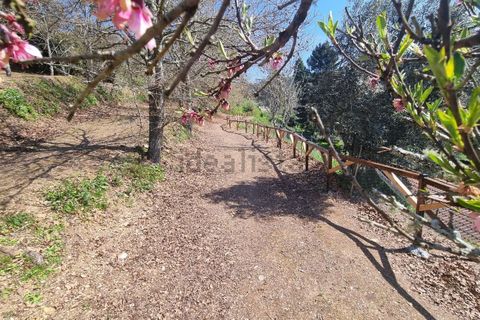 Villa a Cortegaca, Aveiro, Cortegaca - € 229.000 | Ref: es5554865 - foto 40