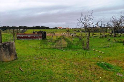 Villa i Palmela, Setubal, Palmela - € 399.000 | Ref: HAB_206 - foto 25