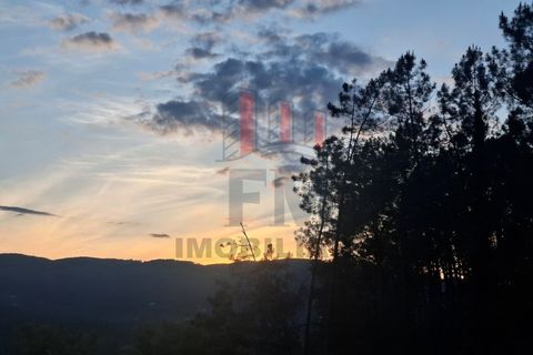 Tomt i Amares, Braga, Amares - € 38 000 | Ref: FM1076 - foto 2