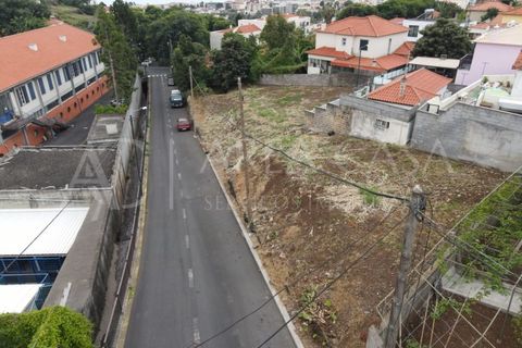 Helårsgrund i Sao Roque, Madeira, Sao Roque - € 250.000 | Ref: TER_142 - foto 1