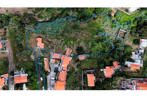 Helårsgrund i Sao Roque, Madeira, Sao Roque - € 1.150.000 | Ref: TER_104 - foto 1