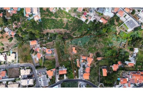 Helårsgrund i Sao Roque, Madeira, Sao Roque - € 1.150.000 | Ref: TER_104 - foto 6