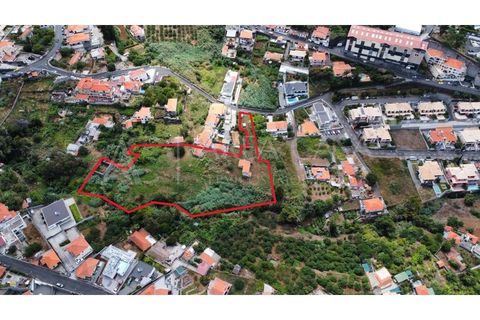 Helårsgrund i Sao Roque, Madeira, Sao Roque - € 1.150.000 | Ref: TER_104 - foto 8