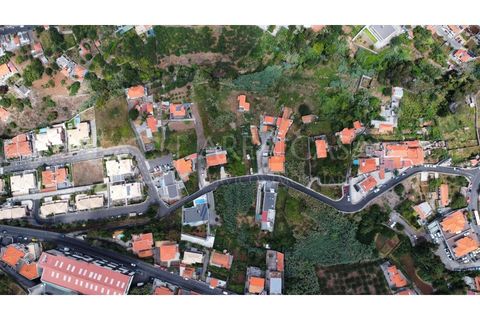 Helårsgrund i Sao Roque, Madeira, Sao Roque - € 1.150.000 | Ref: TER_104 - foto 15