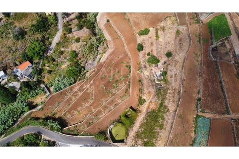 Helårsgrund i Caniço, Madeira, Caniço - € 276.000 | Ref: TER_68 - foto 4