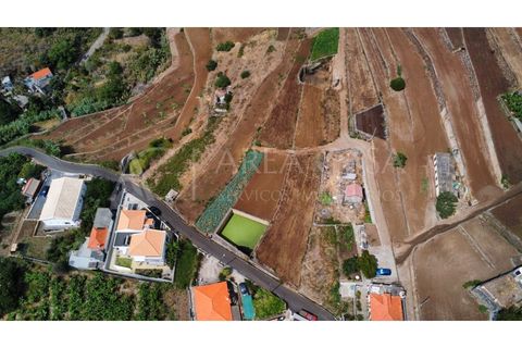 Helårsgrund i Caniço, Madeira, Caniço - € 276.000 | Ref: TER_68 - foto 9