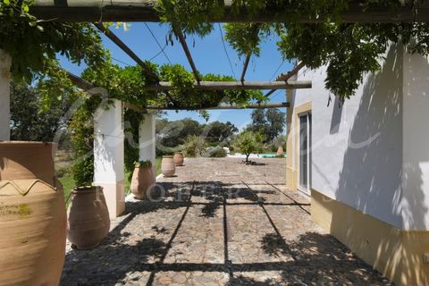 Granja a Monforte, Portalegre, Monforte - € 9.200/mes | Ref: APA_2024_ 1224 - foto 11