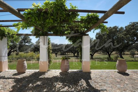 Granja a Monforte, Portalegre, Monforte - € 9.200/mes | Ref: APA_2024_ 1224 - foto 22