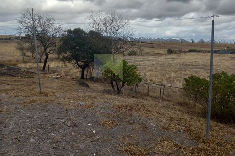 Farm i Amareleja, Beja, Amareleja - € 400.000 | Ref: VIL_1309 (2) - foto 9