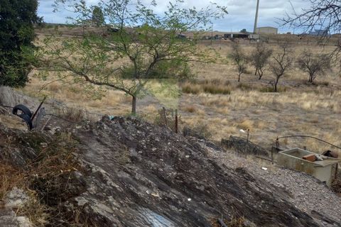 Farm i Amareleja, Beja, Amareleja - € 400.000 | Ref: VIL_1309 (2) - foto 14