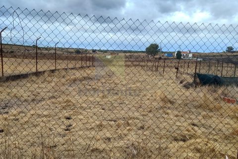 Farm i Amareleja, Beja, Amareleja - € 400.000 | Ref: VIL_1309 (2) - foto 20