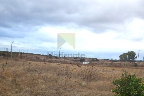 Farm i Amareleja, Beja, Amareleja - € 400.000 | Ref: VIL_1309 (2) - foto 21