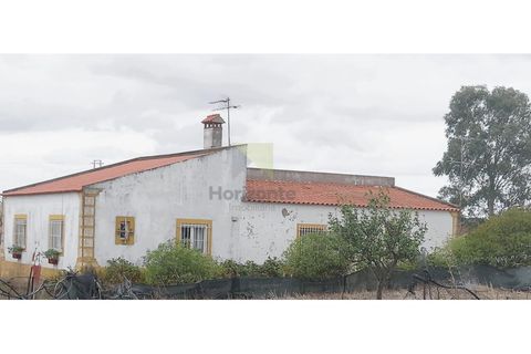 Farm i Amareleja, Beja, Amareleja - € 400.000 | Ref: VIL_1309 - foto 1