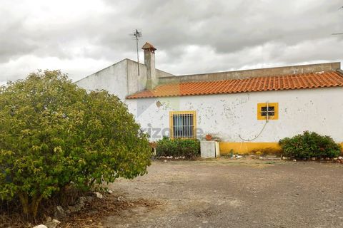 Farm i Amareleja, Beja, Amareleja - € 400.000 | Ref: VIL_1309 - foto 3
