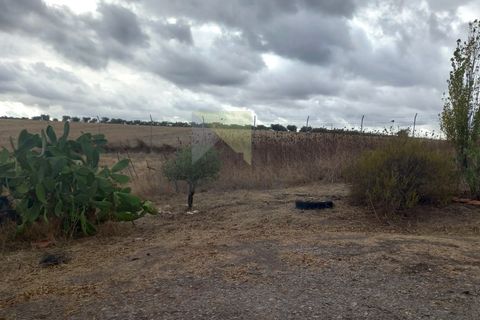 Farm i Amareleja, Beja, Amareleja - € 400.000 | Ref: VIL_1309 - foto 10