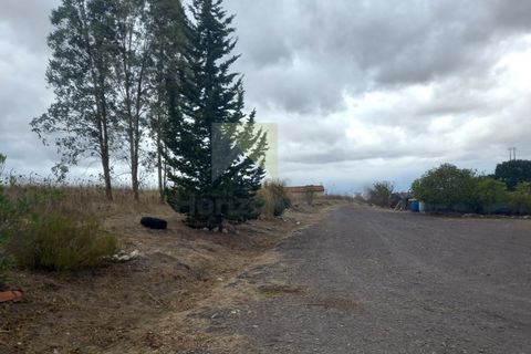 Farm i Amareleja, Beja, Amareleja - € 400.000 | Ref: VIL_1309 - foto 11