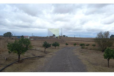 Farm i Amareleja, Beja, Amareleja - € 400.000 | Ref: VIL_1309 - foto 13