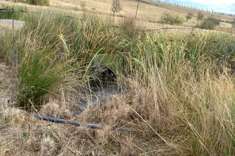 Farm i Amareleja, Beja, Amareleja - € 400.000 | Ref: VIL_1309 - foto 15