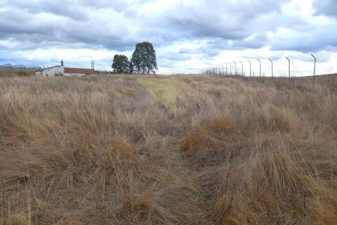 Farm i Amareleja, Beja, Amareleja - € 400.000 | Ref: VIL_1309 - foto 19