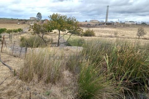 Farm i Amareleja, Beja, Amareleja - € 400.000 | Ref: VIL_1309 - foto 22