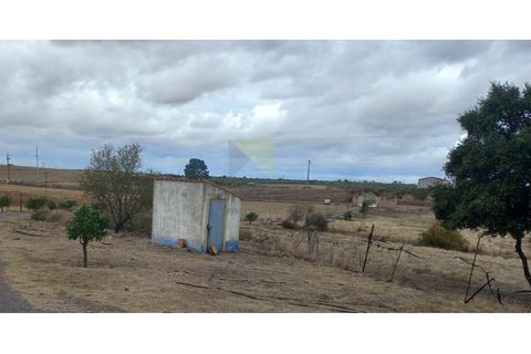 Farm i Amareleja, Beja, Amareleja - € 400.000 | Ref: VIL_1309 - foto 23