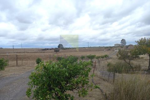 Farm i Amareleja, Beja, Amareleja - € 400.000 | Ref: VIL_1309 - foto 24