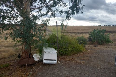 Farm i Amareleja, Beja, Amareleja - € 400.000 | Ref: VIL_1309 - foto 25