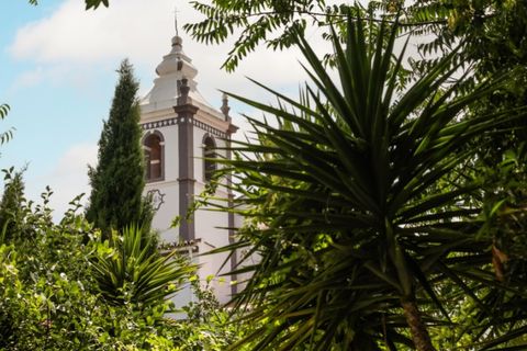 Villa en Borba, Evora, Borba - € 780.000 | Ref: AG060 - photo 4