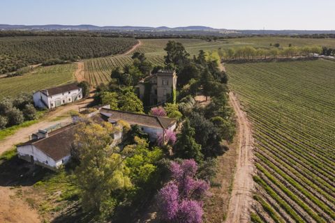 Bauernhof in Sousel, Portalegre, Sousel - € 1.980.000 | Ref: CDB147 - Foto 1