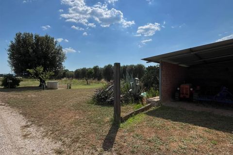 Lejlighed i Roccastrada, Grosseto, Roccastrada - € 775.000 | Ref: a11149ra2584350 - foto 29