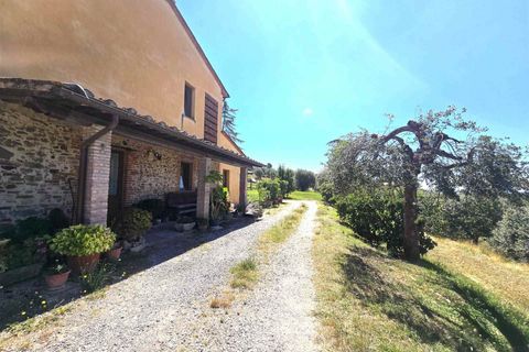 Gårdshus i Montecarlo, Lucca, Montecarlo - € 500 000 | Ref: a6551ta2585725a - foto 6