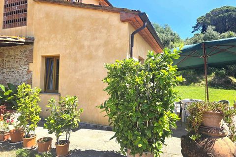 Gårdshus i Montecarlo, Lucca, Montecarlo - € 500 000 | Ref: a6551ta2585725a - foto 8