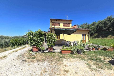 Gårdshus i Montecarlo, Lucca, Montecarlo - € 500 000 | Ref: a6551ta2585725a - foto 10