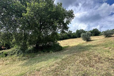 Farm hus i Roccastrada, Grosseto, Roccastrada - € 490.000 | Ref: a7631ta2582944a - foto 27